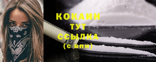 МДМА Ельня