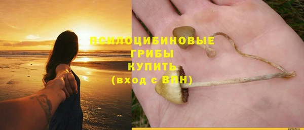 МДМА Ельня