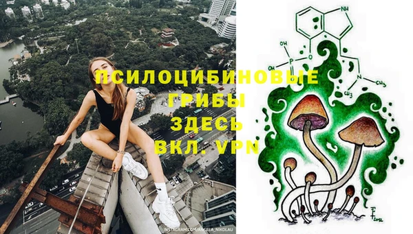 спиды Елизово