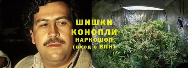 МДМА Ельня