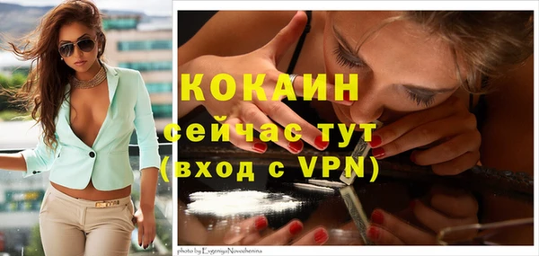 спиды Елизово