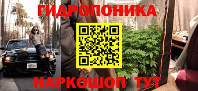 гашик Краснознаменск