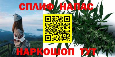 гашик Краснознаменск