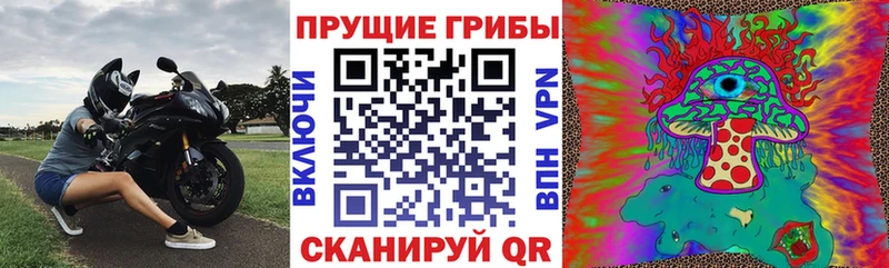 Галлюциногенные грибы прущие грибы  Коркино 